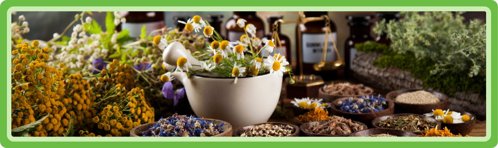 Zelfgemaakt kruidenmiddelen in De Plantwijzer