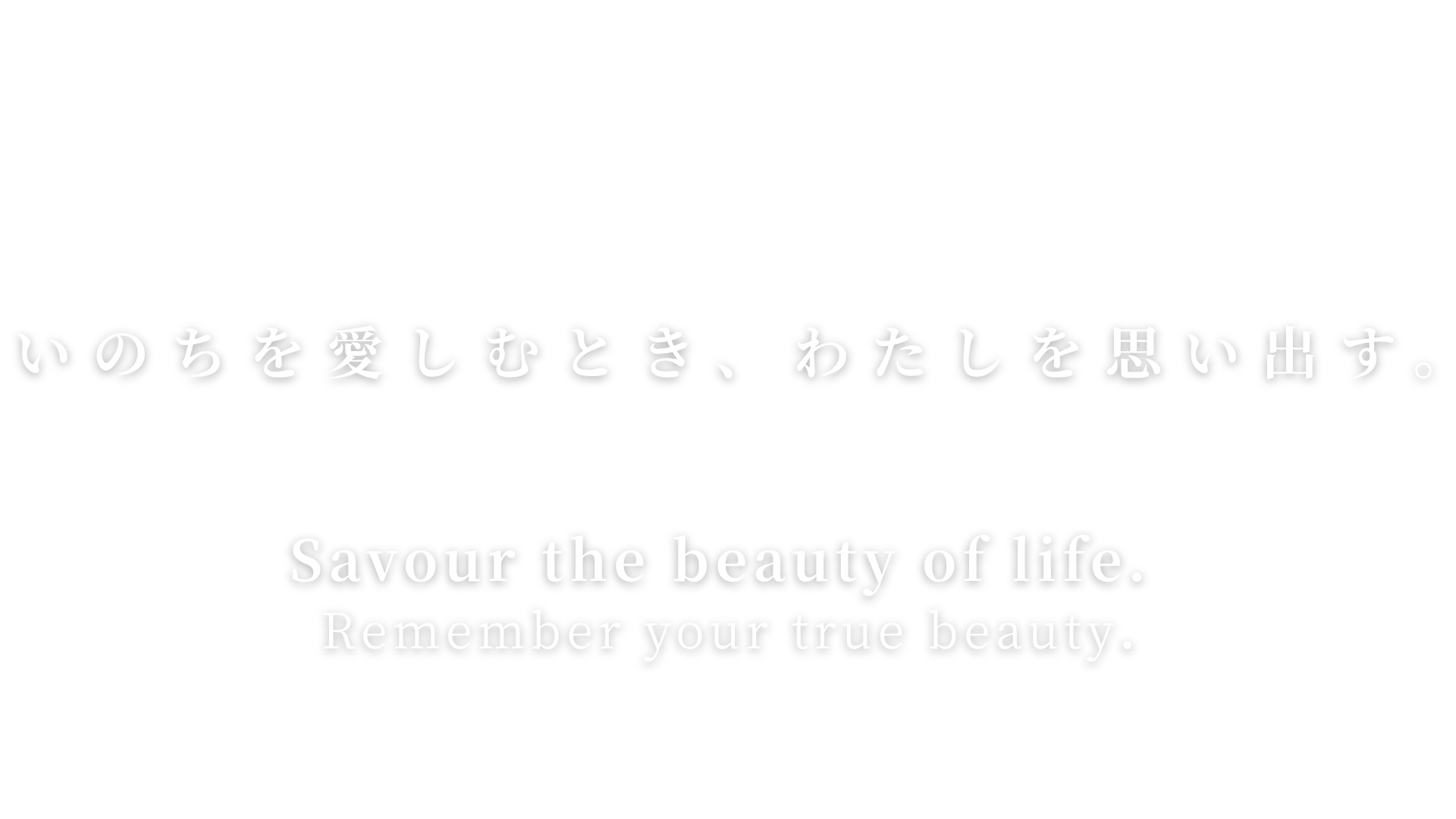 いのちを愛しむ