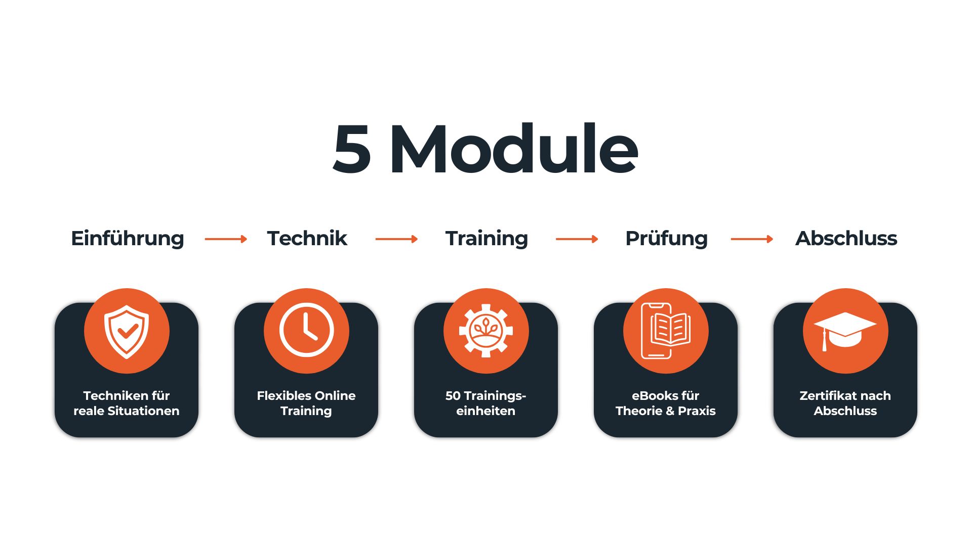 Übersicht modularer Aufbau Karuna Combat