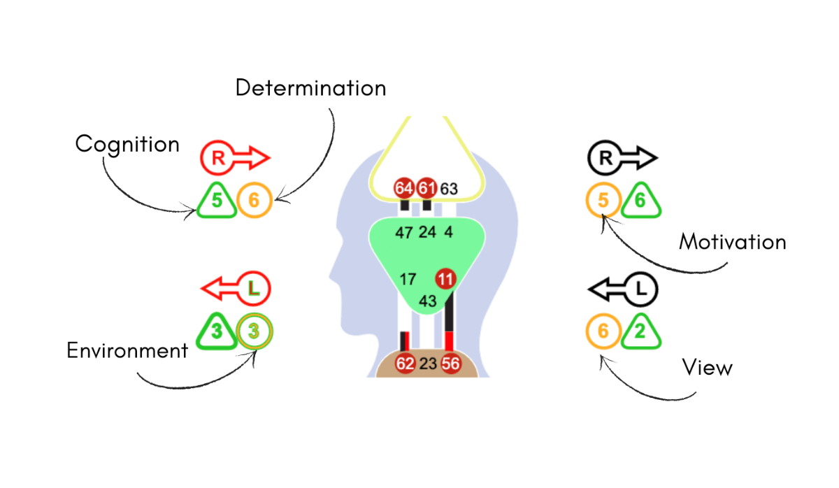 human design variables