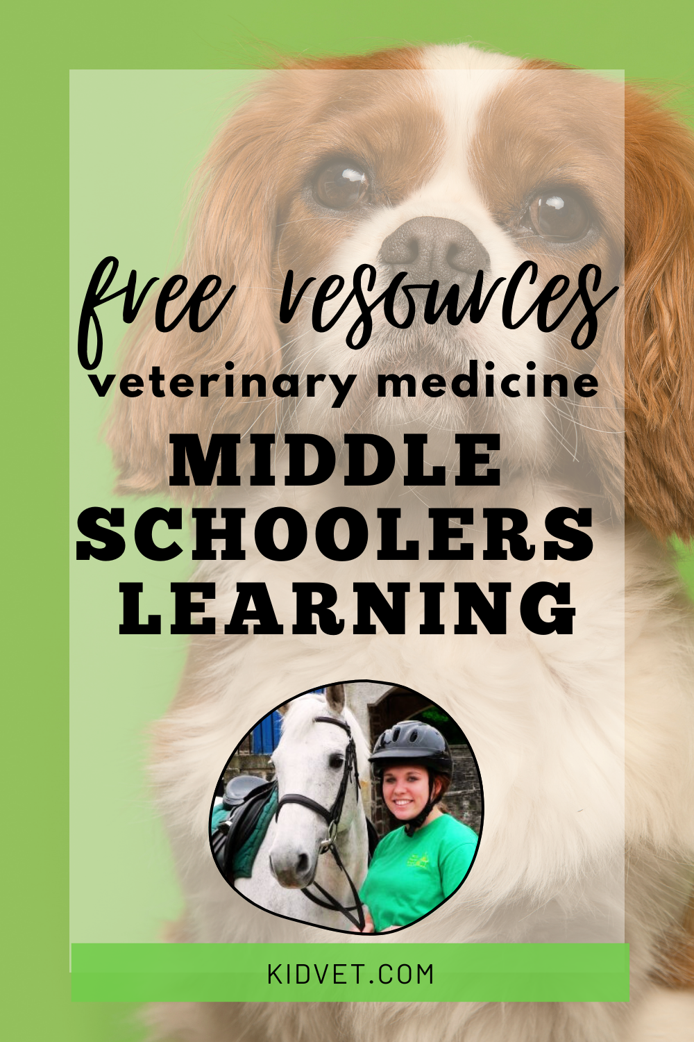free online vet class for kids, vet club for kids, online vet club for kids, how to be a vet