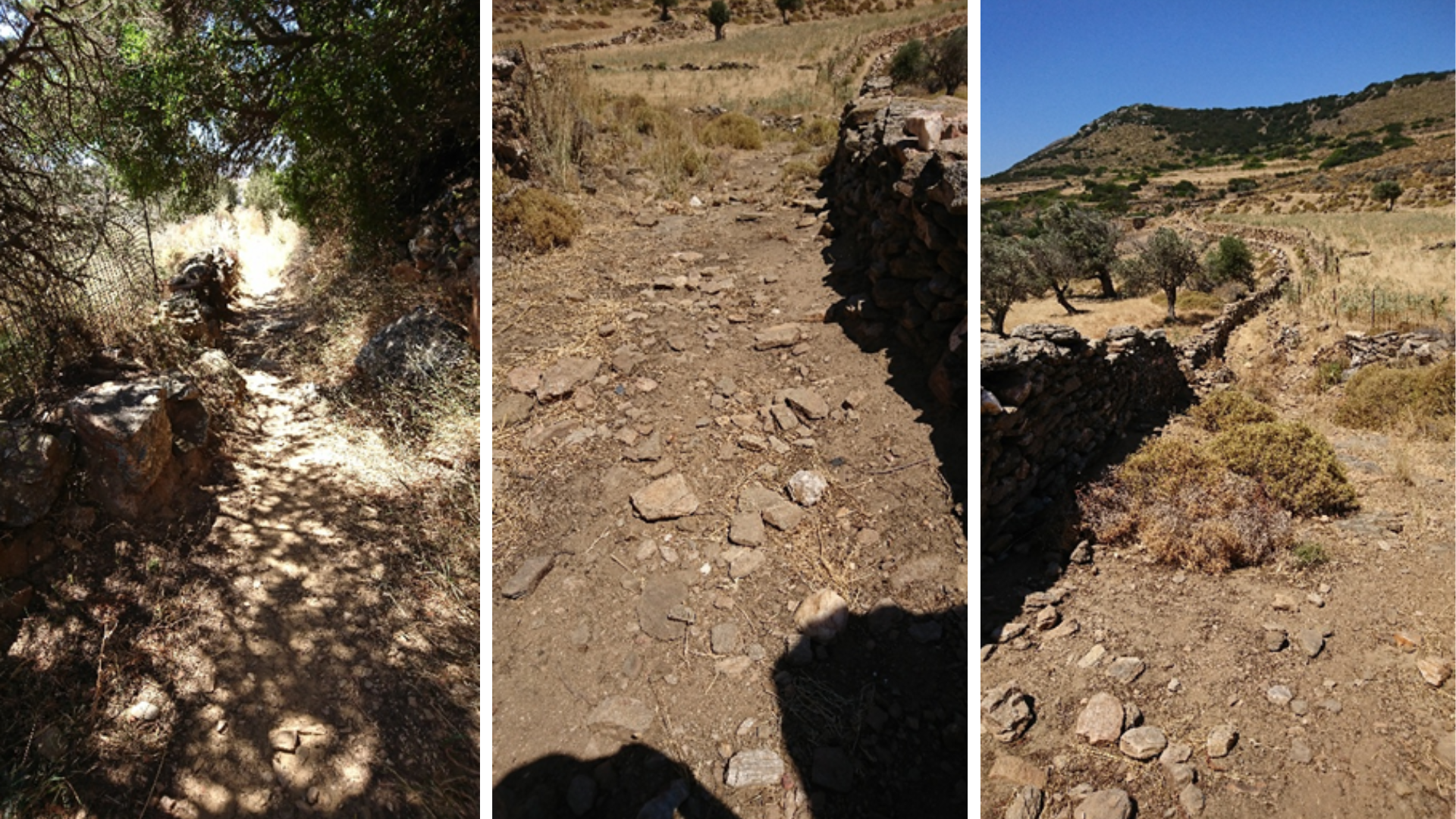 Pathway from Ano Sangri to Temple of Demeter