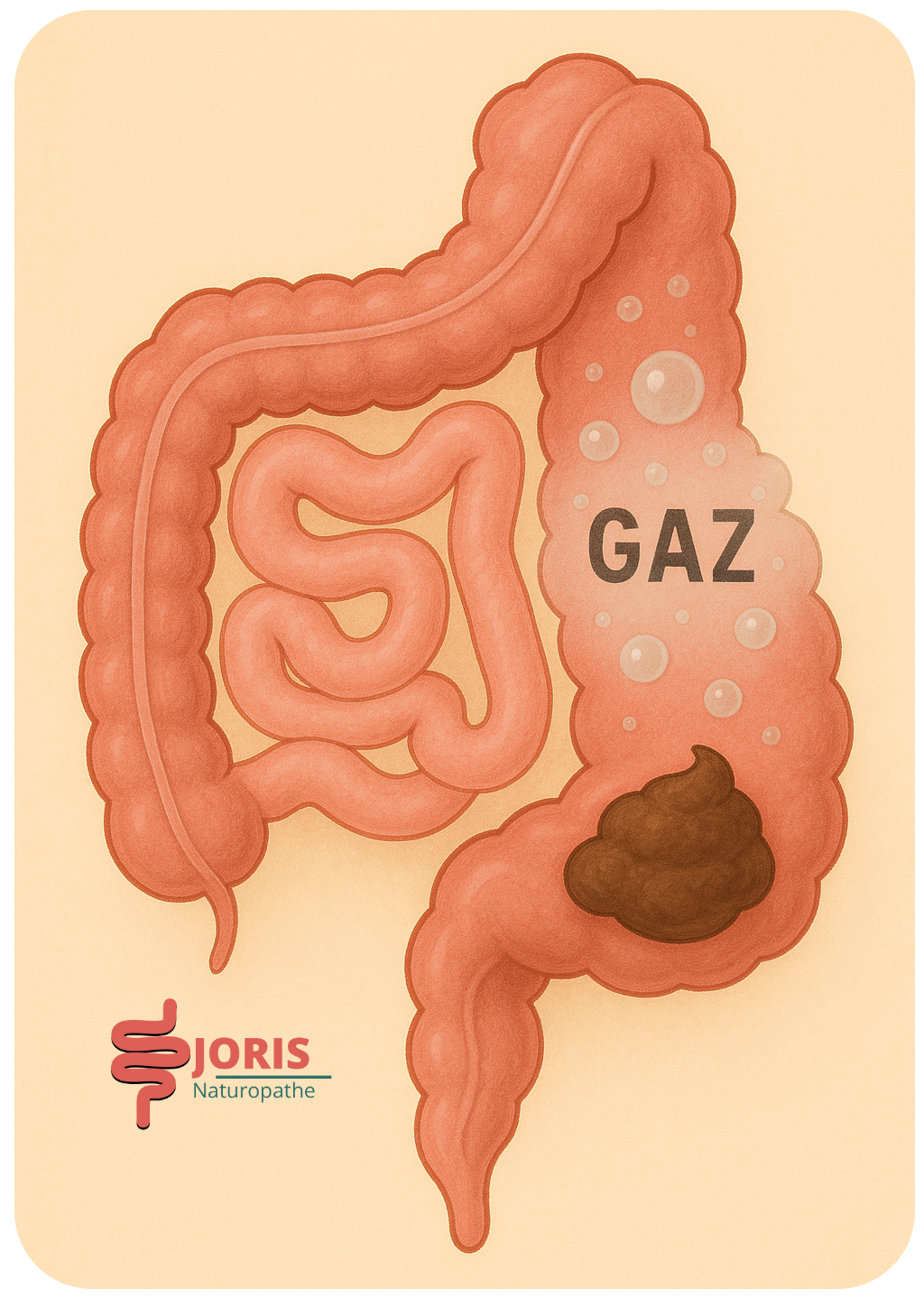 Mal au ventre, envie de faire caca mais rien