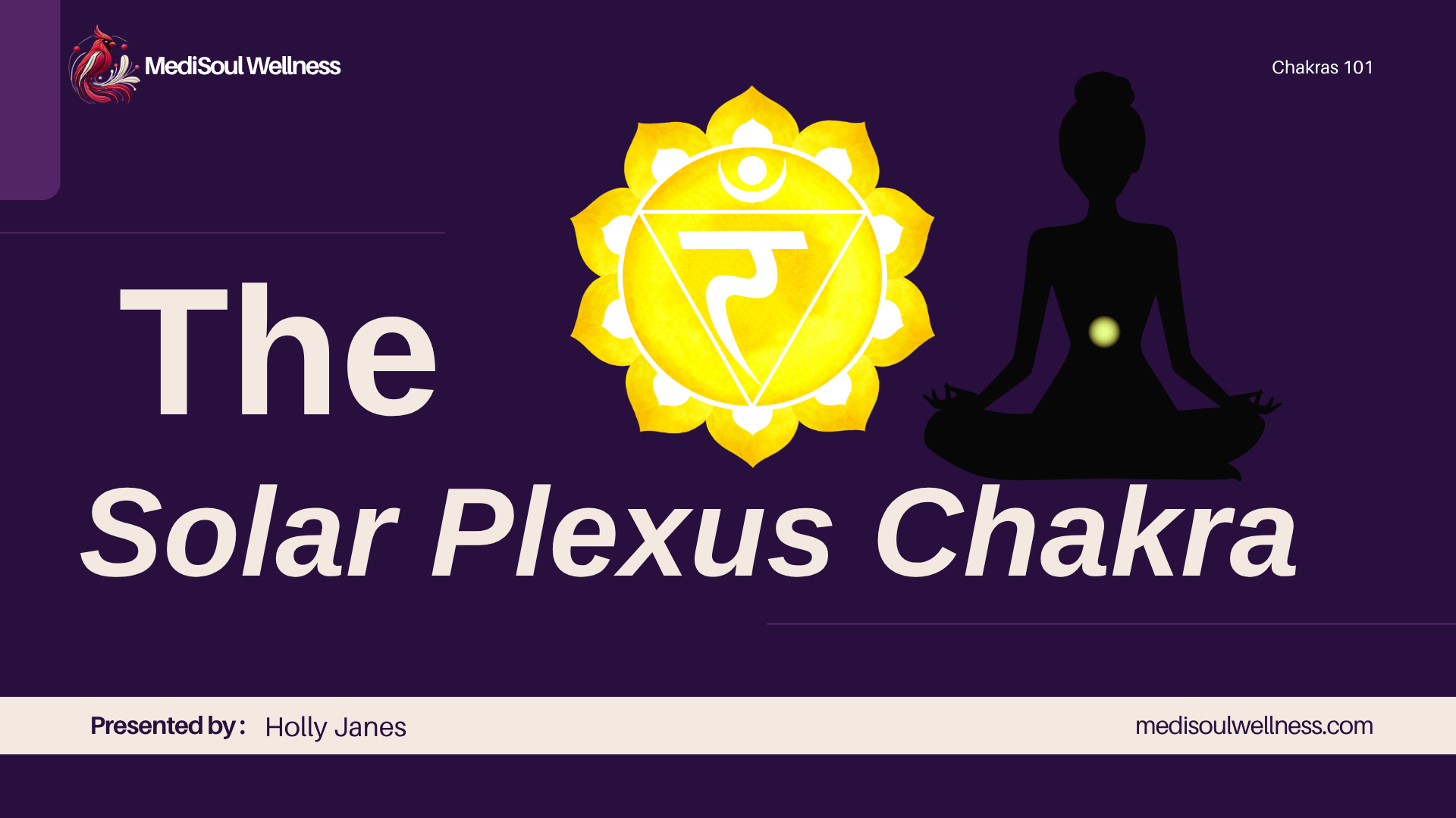 The Solar Plexus Chakras Chakras 101