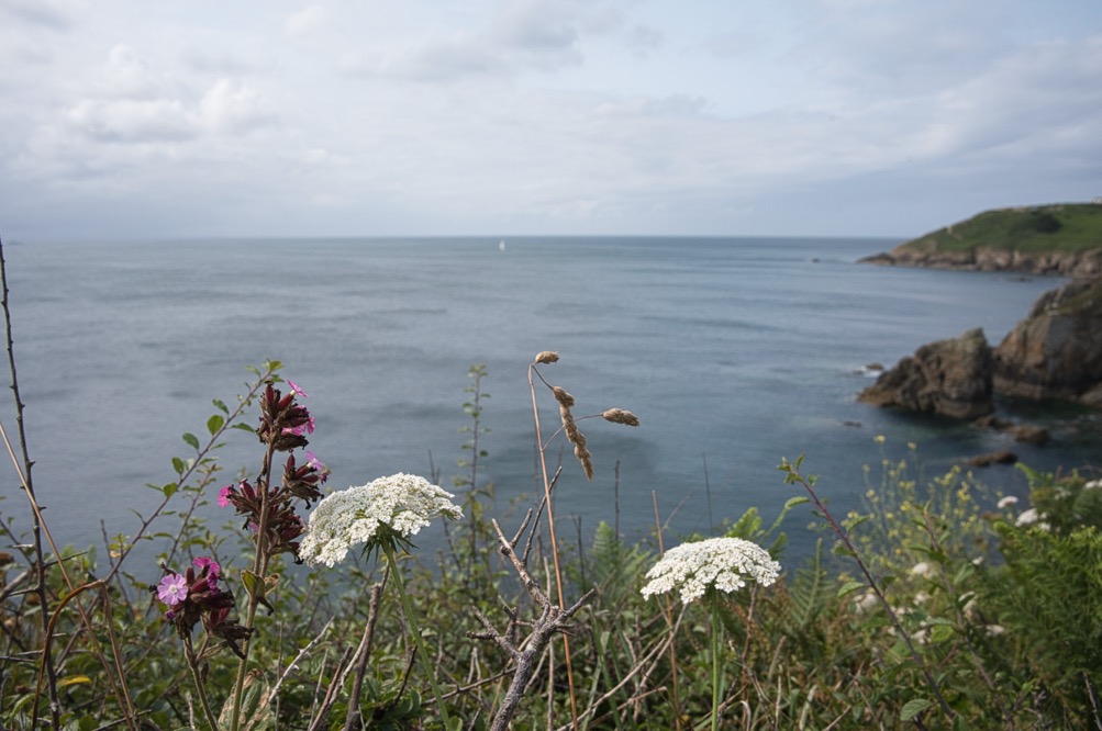 Formation Luminar NEO avant/après