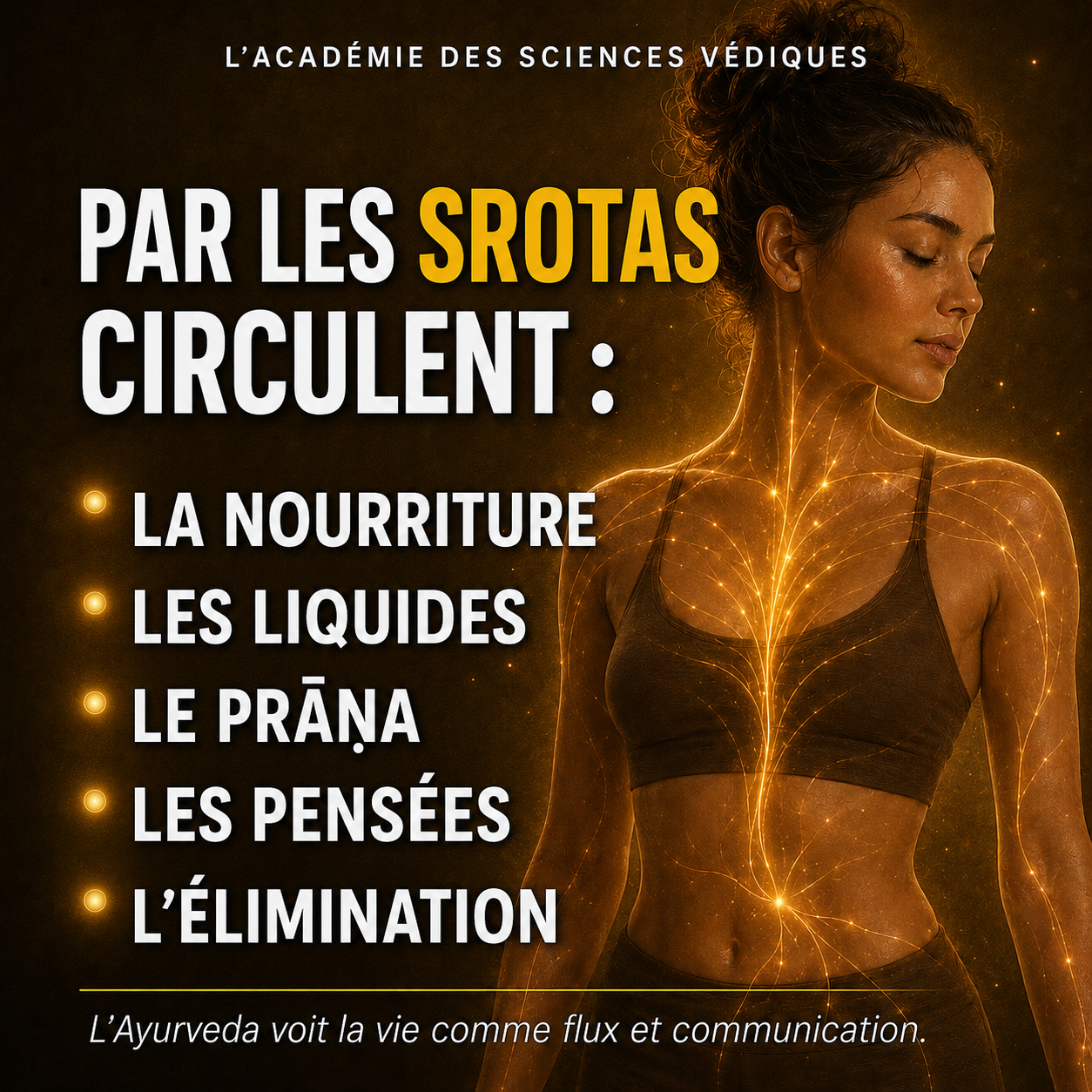 Conseiller Ayurveda