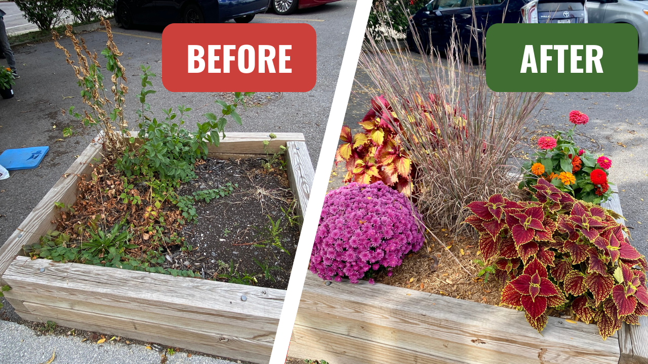 Stilson Parking Lot Before and After