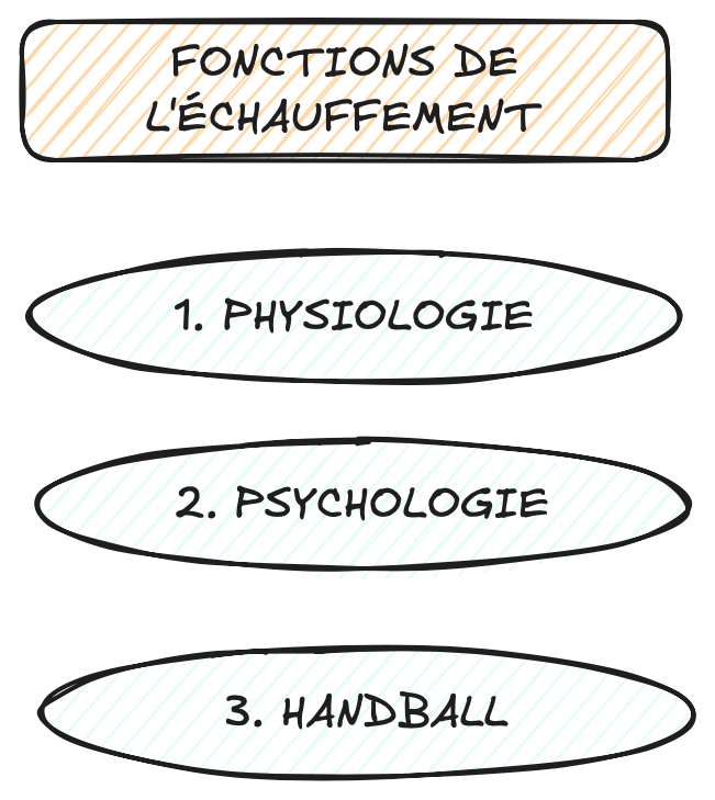 fonctions de l'échauffement à l'entraînement