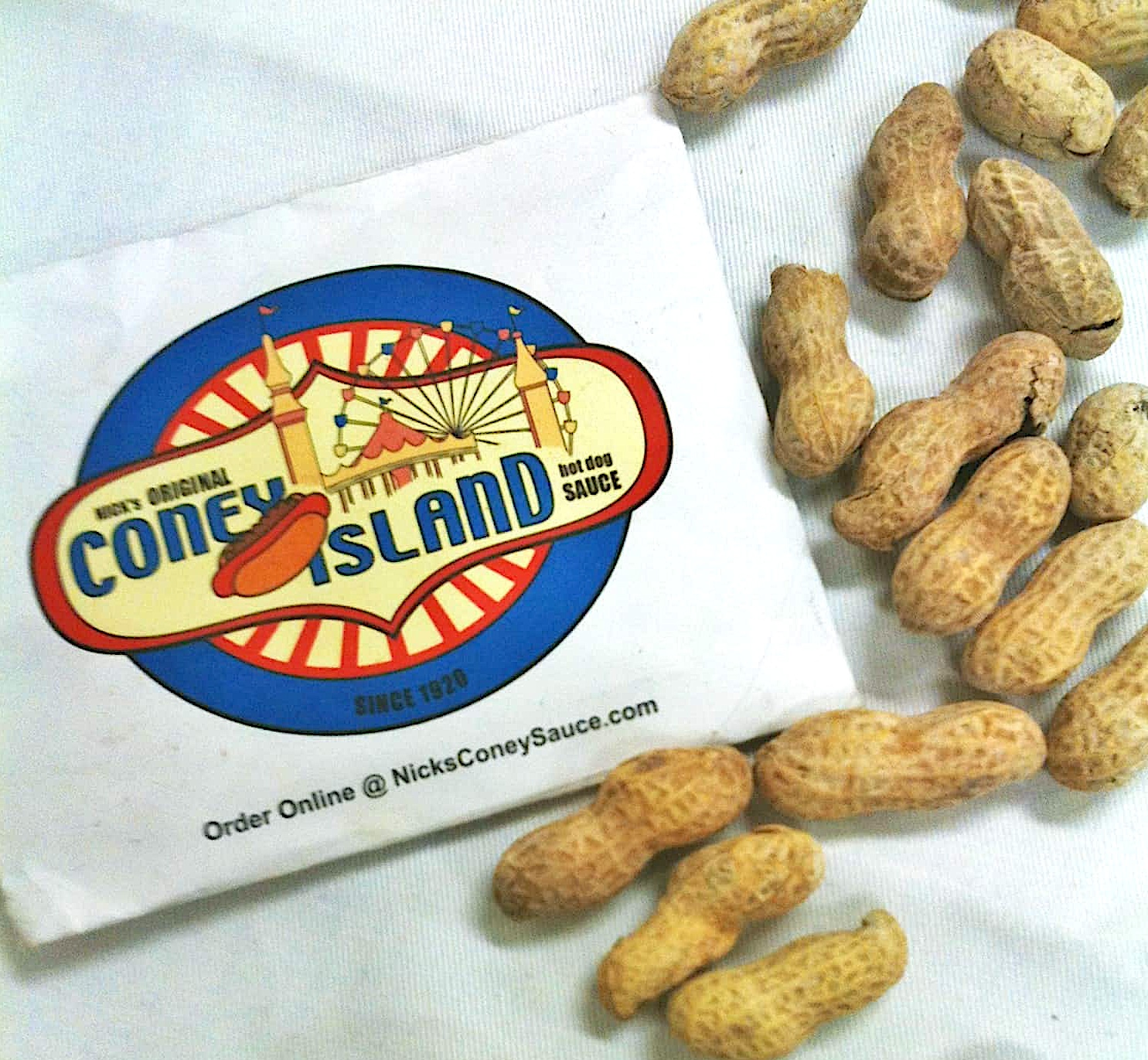 Coney Island bag, as a story prop for teaching ALL OF A KIND FAMILY by Sydney Taylor - from LitWits Workshops