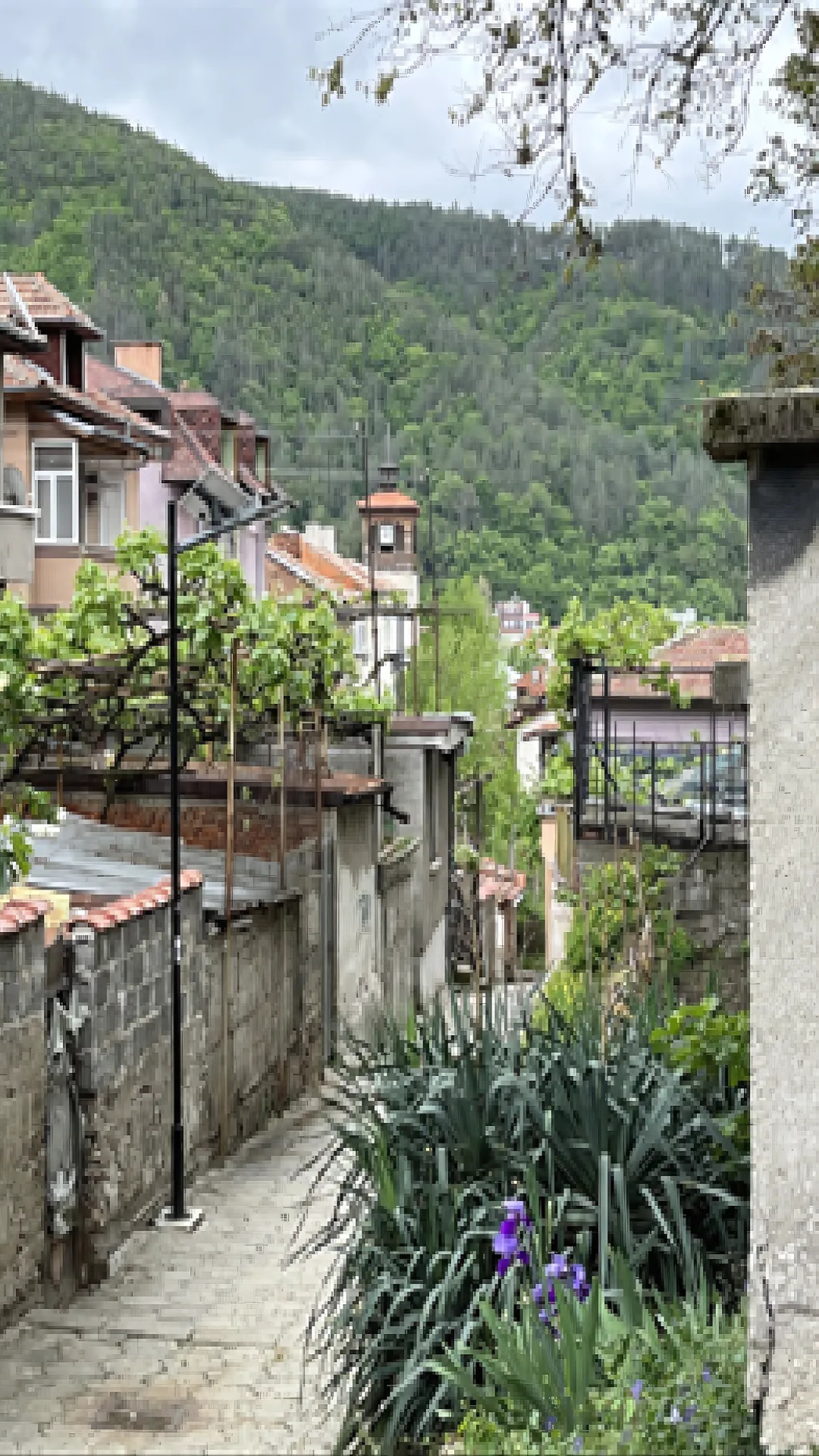 Bulgaria | Near the Clock Tower Blagoevgrad