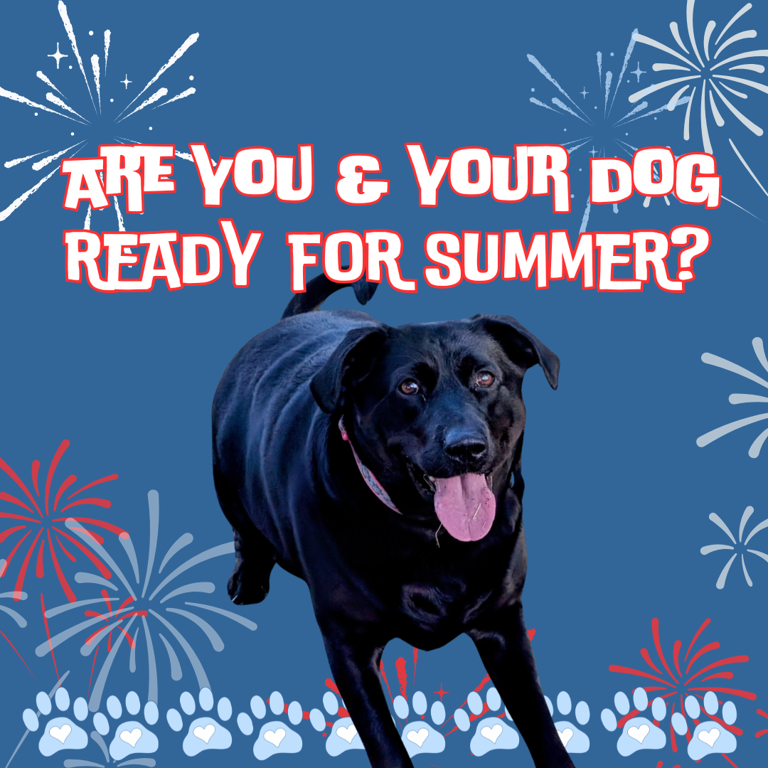 Text states "Are You Ready For Summer?"