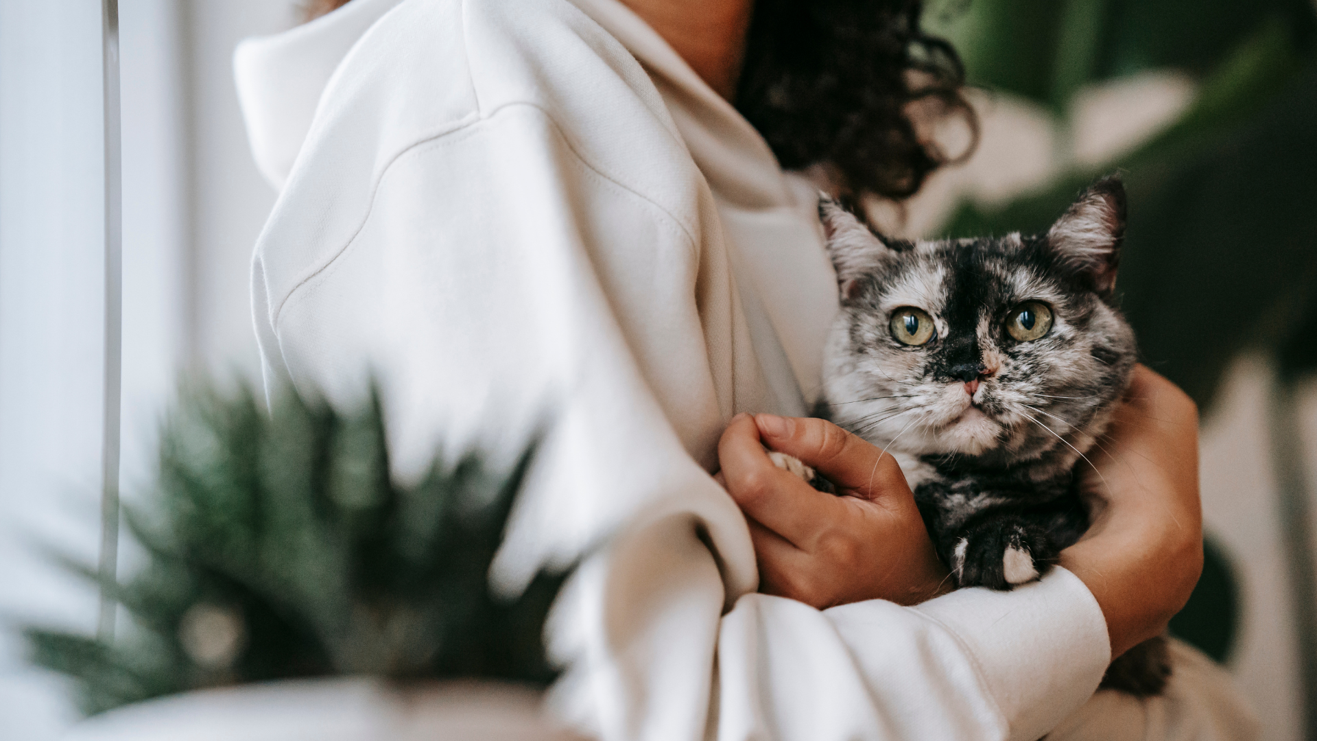 Faceless Digital Marketing