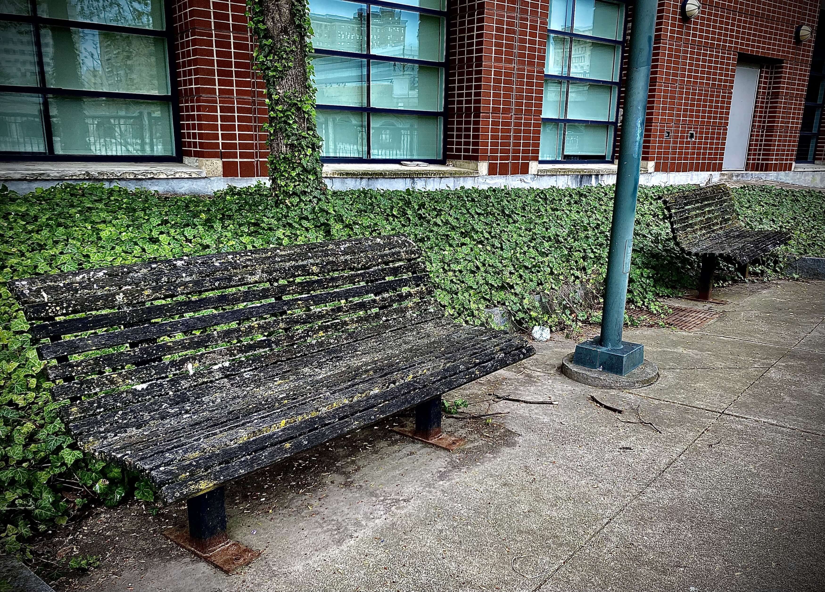 Benches outside Blue Cross Arena