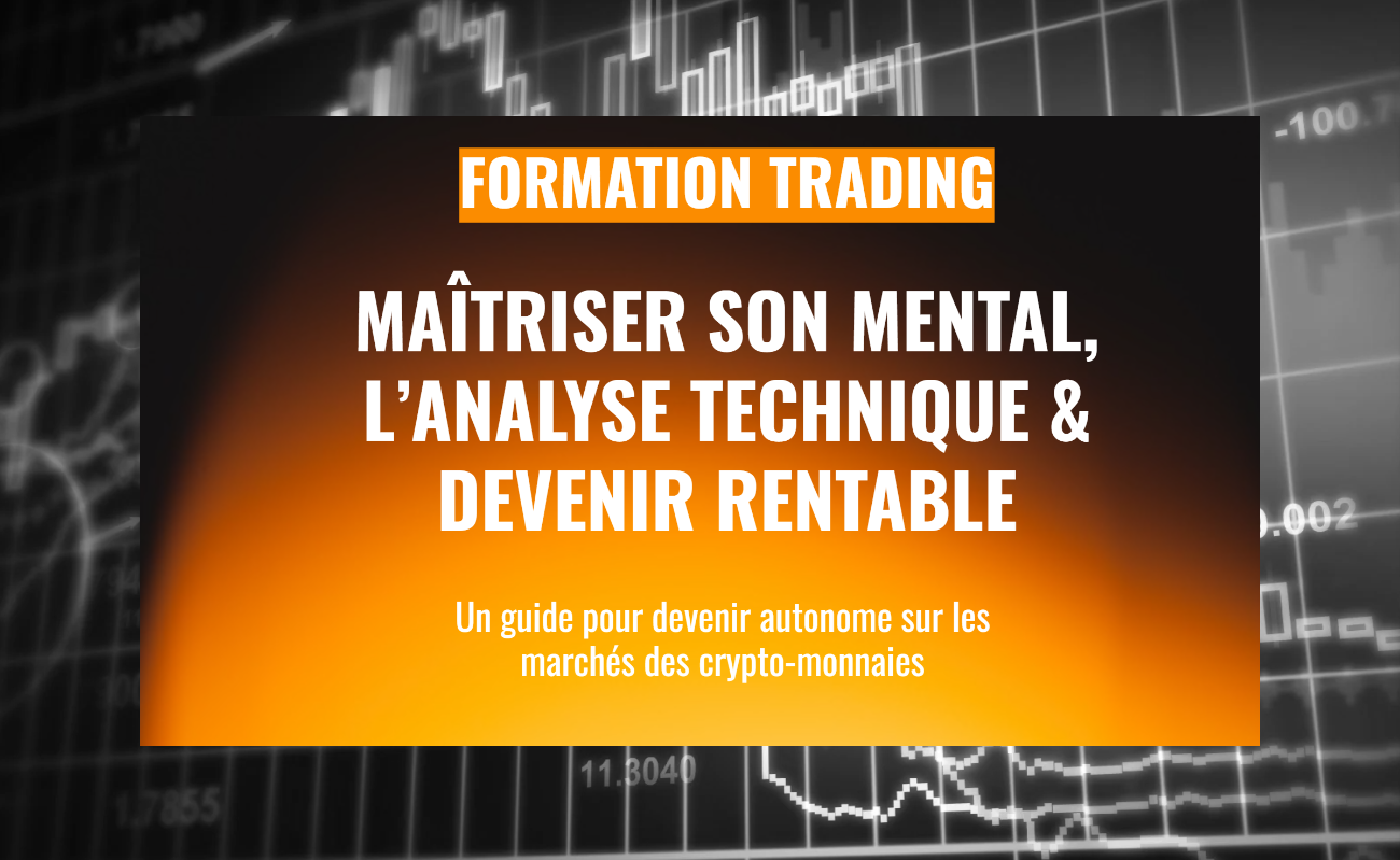 Formation Trading Rentable