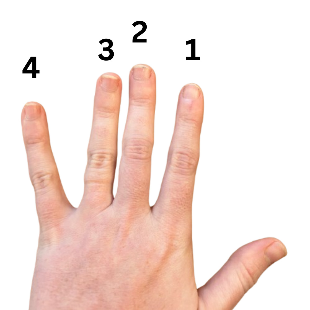 Violin finger numbers