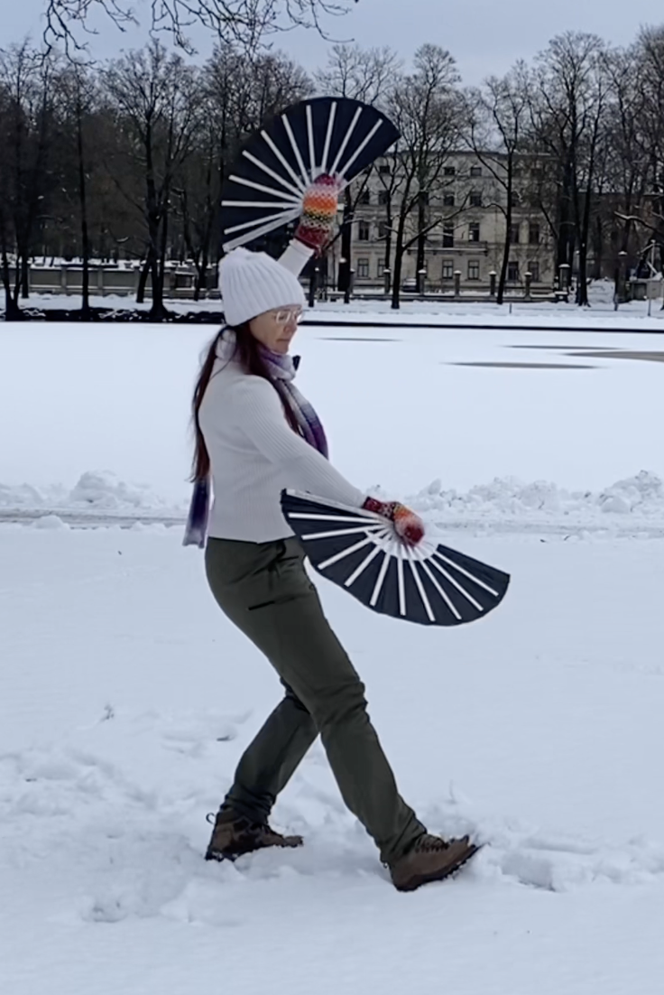 Taichifanflow: winter solstice daily movement - day 5