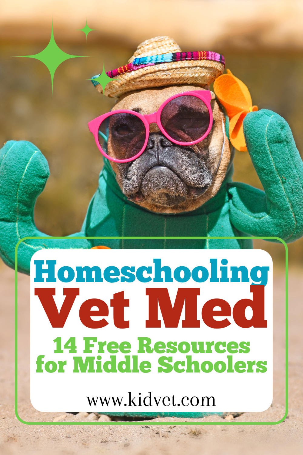 free online vet class for kids, vet club for kids, online vet club for kids, how to be a vet