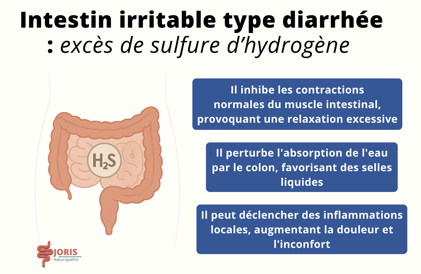 SII diarrhée 