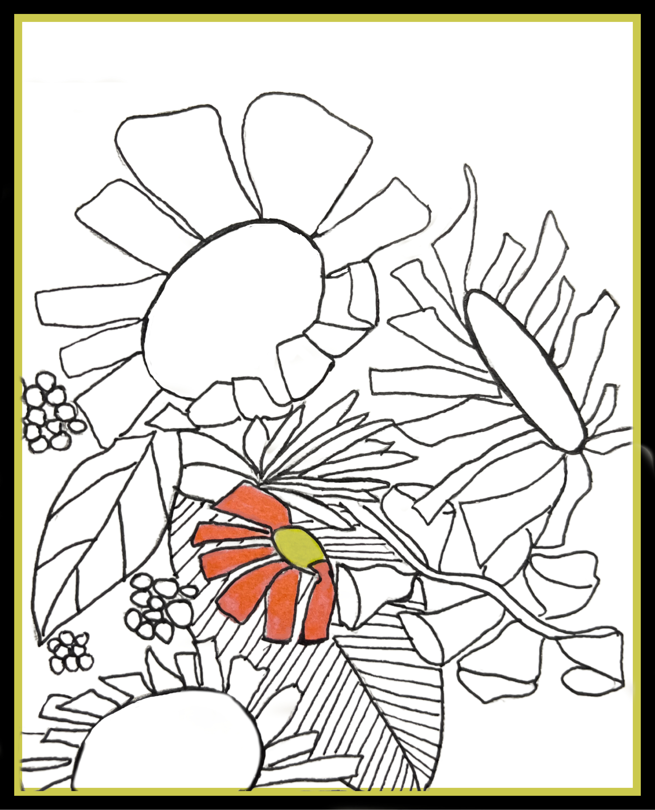 framed black and white wildflower drawing