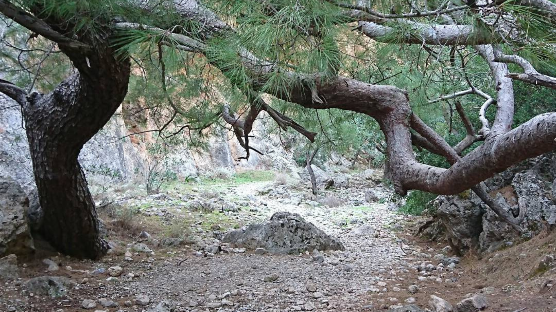 Lissos Gorge - Sougia, Crete Greece