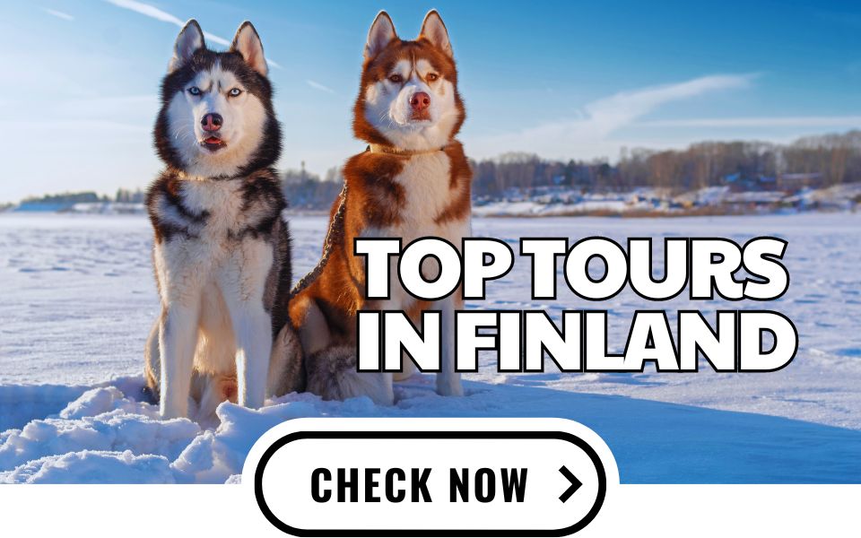 finland tours and activities