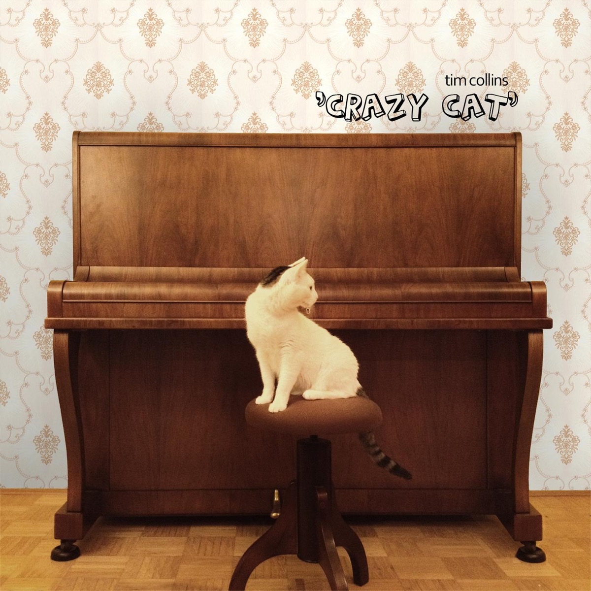 Crazy Cat - Tim Collins