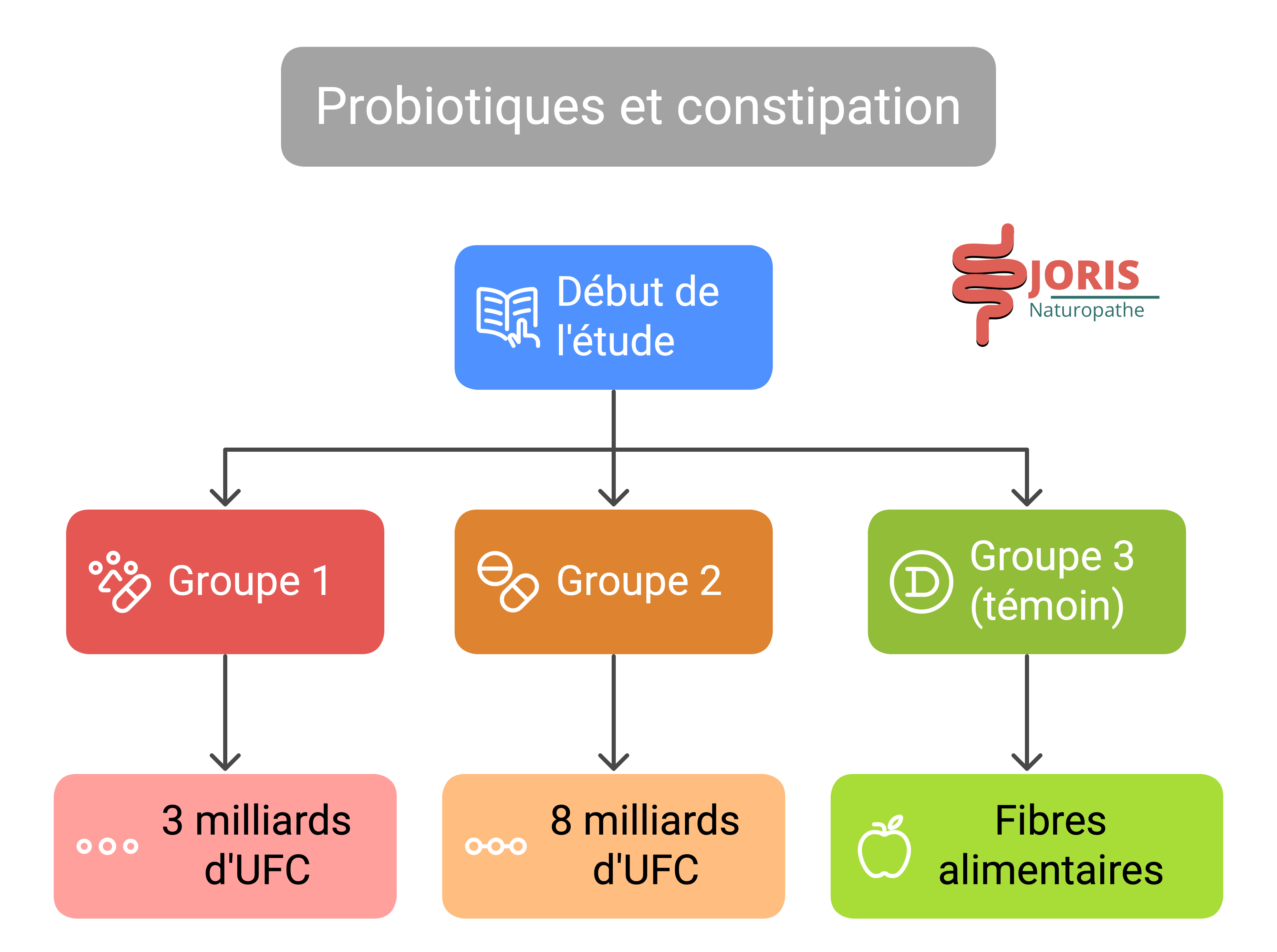probiotique et constipation