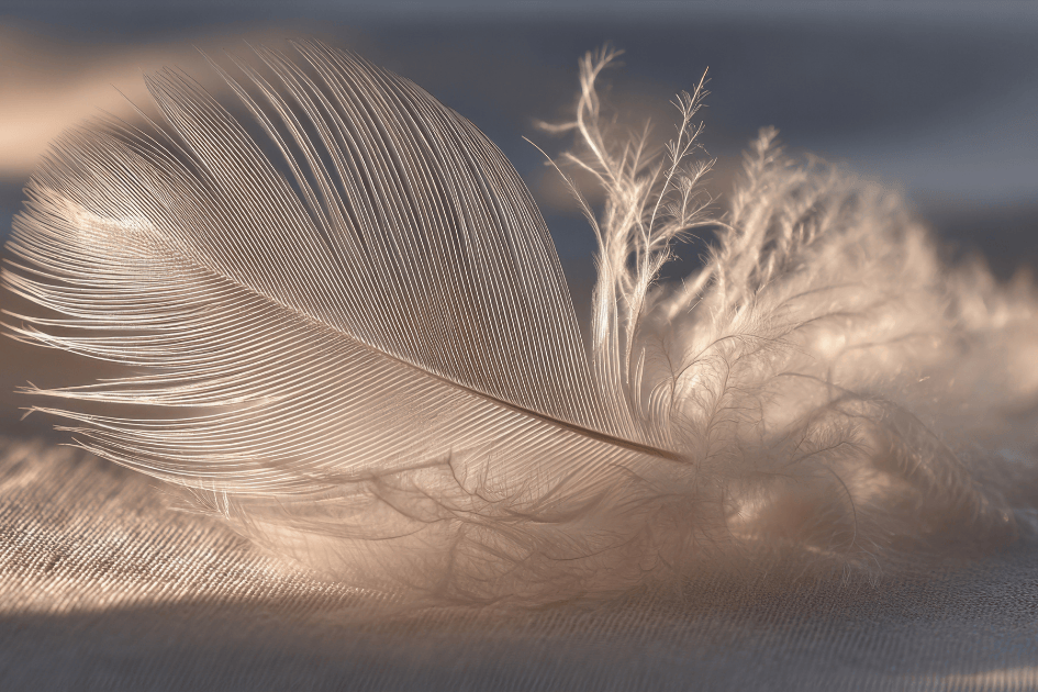 Plume