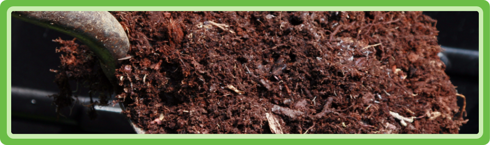 Goede aarde is van levensbelang voor het plantenrijk