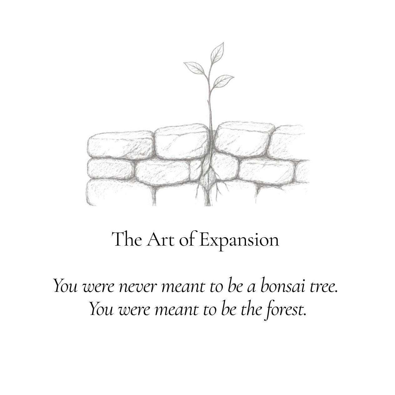 A Spiritual Life