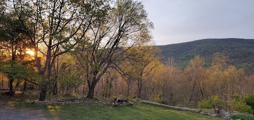 Tapping into the Power of Nature's Energy: How to Harness It for Growth and Renewal