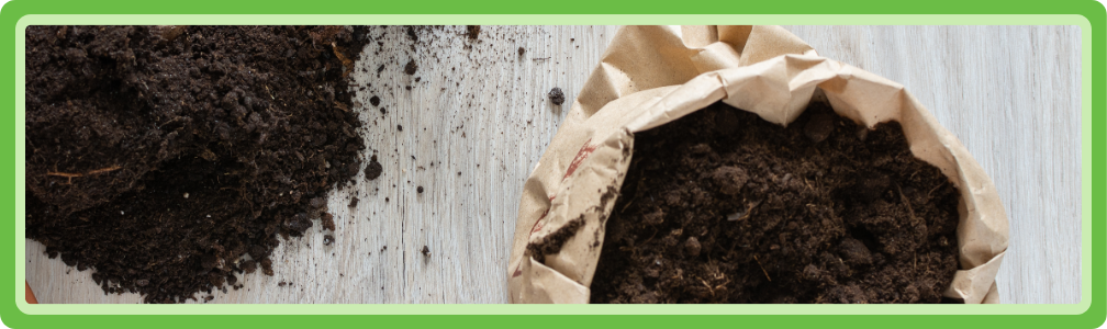 Potplanten die na aanschaf direct zijn overgezet in een ruimere pot met verse potgrond die bij hen past.