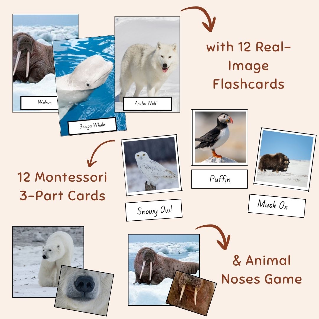 Arctic Animals Activities Bundle