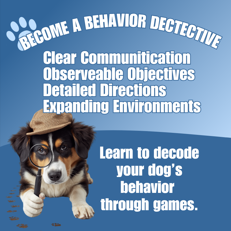 The Dog Detective looking through a magnifying glass for clues
