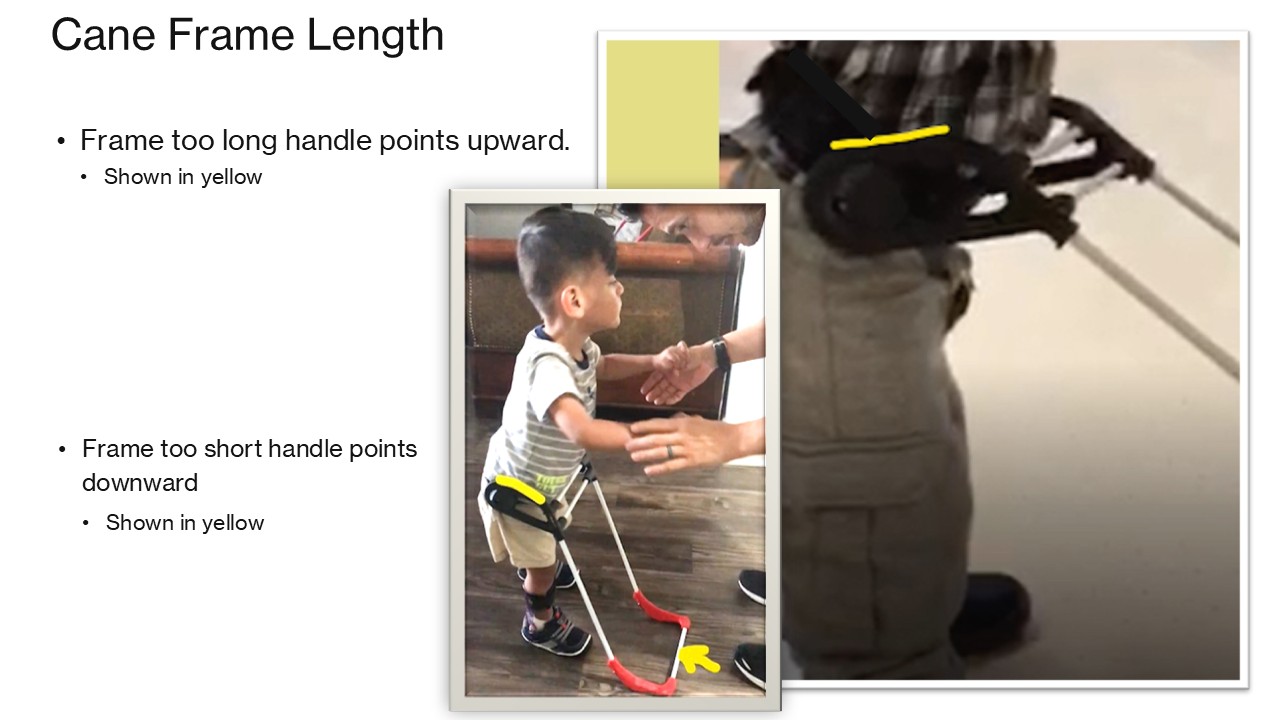 Cane Frame Length Frame too long handle points upward. Frame too short handle points downward. 