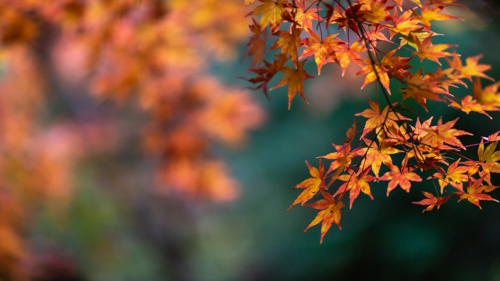 automne