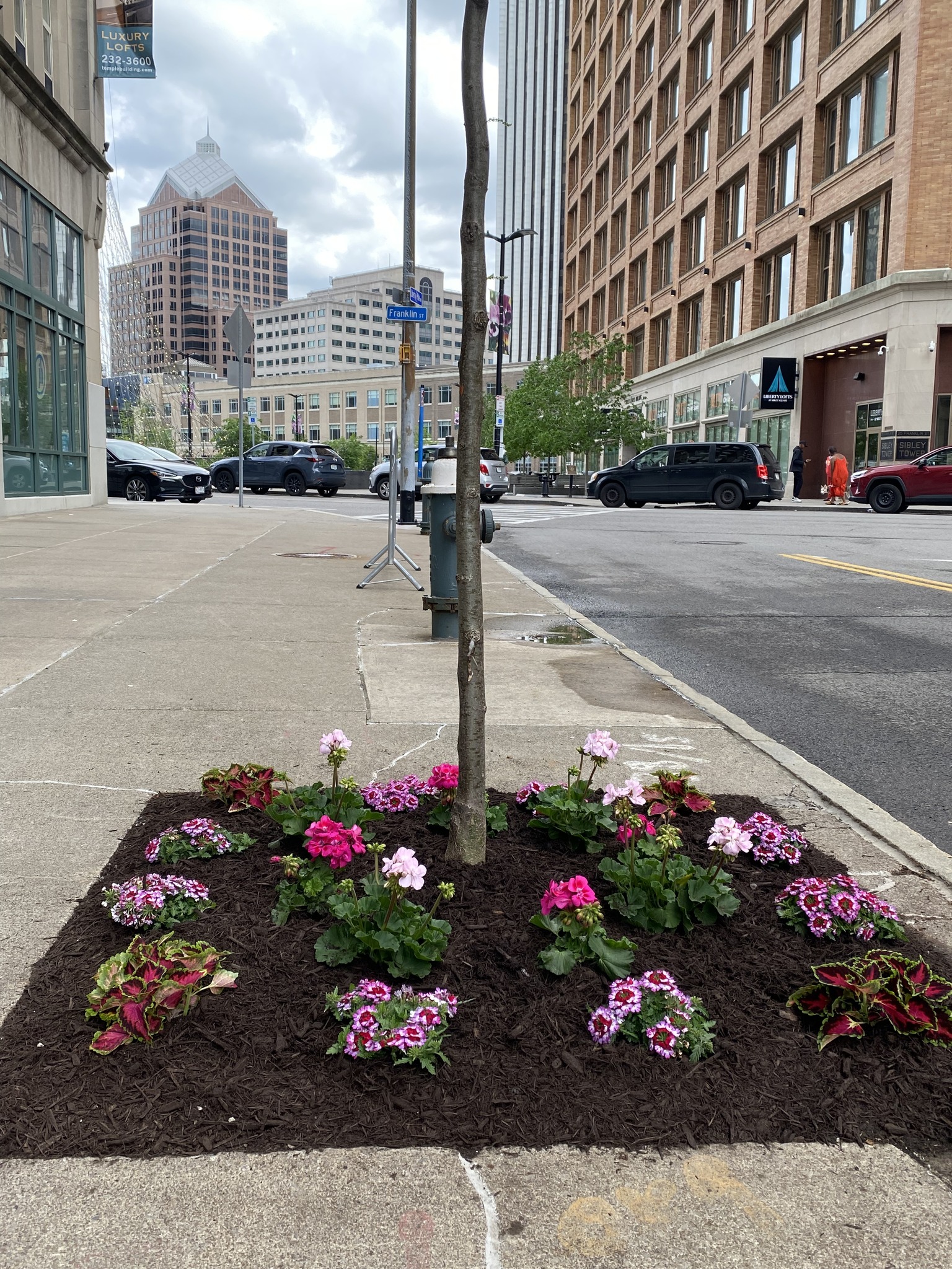 Liberty Pole at Franklin