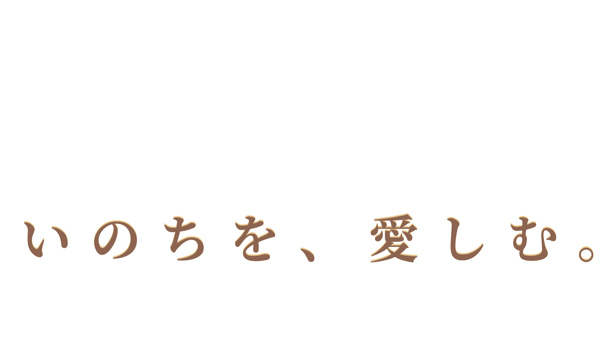 A Journey