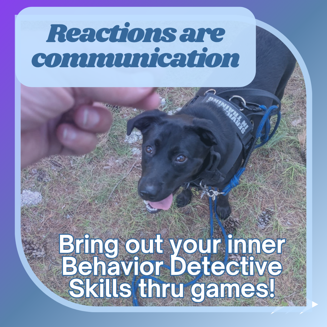 A black standing in the woods, looking up at her human's hand holding a treat. Text states, "Reactions are communication. Bring out your inner Behavior Detective thru games!"