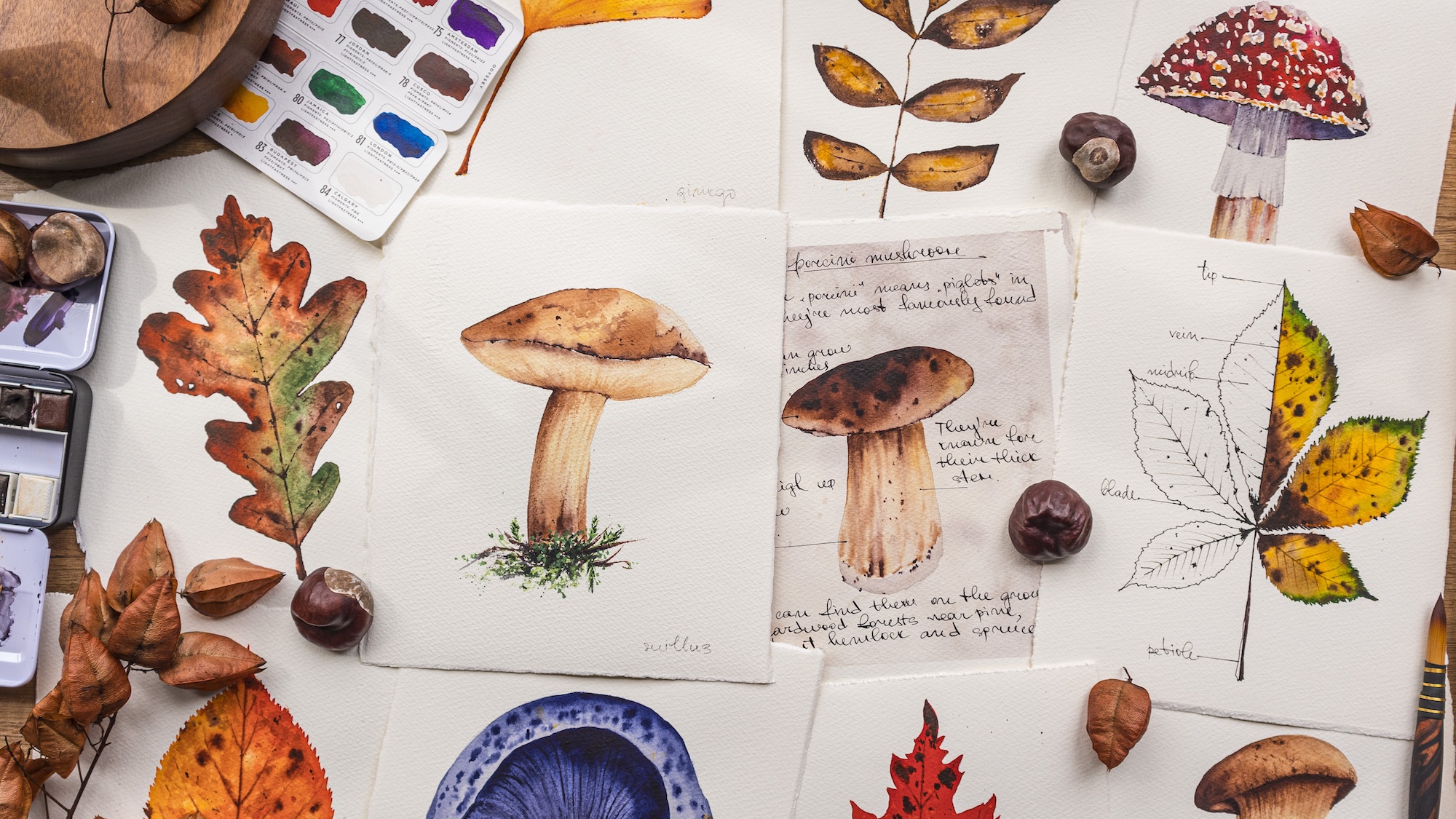 Watercolor Painting Collection Autumn Themed Illustrations