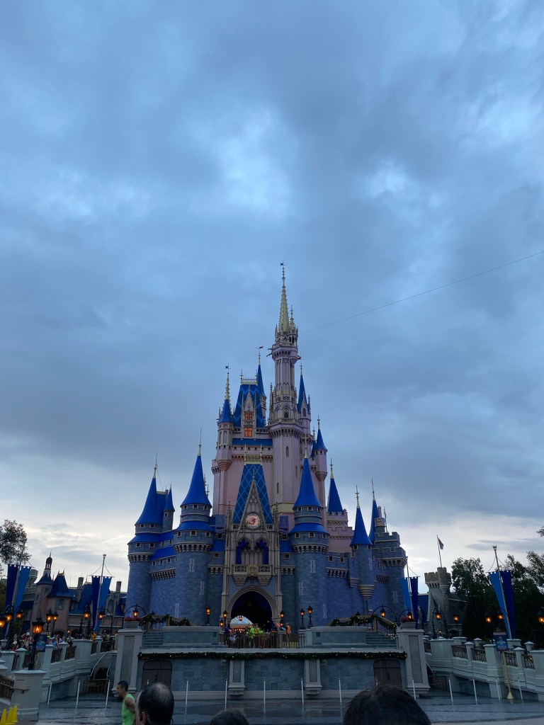 Magical moment at the Magic Kingdom
