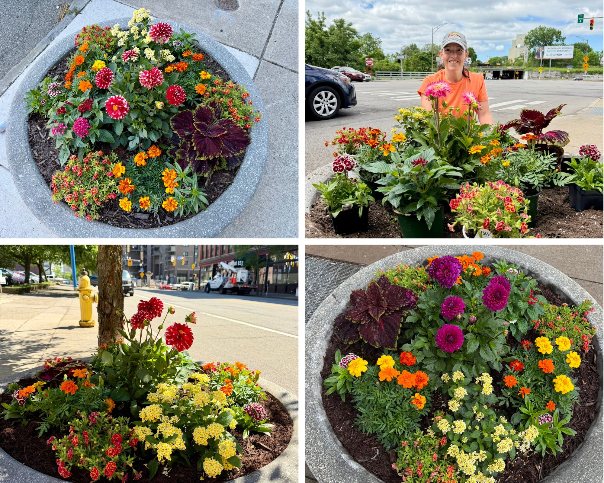 St. Paul Planters