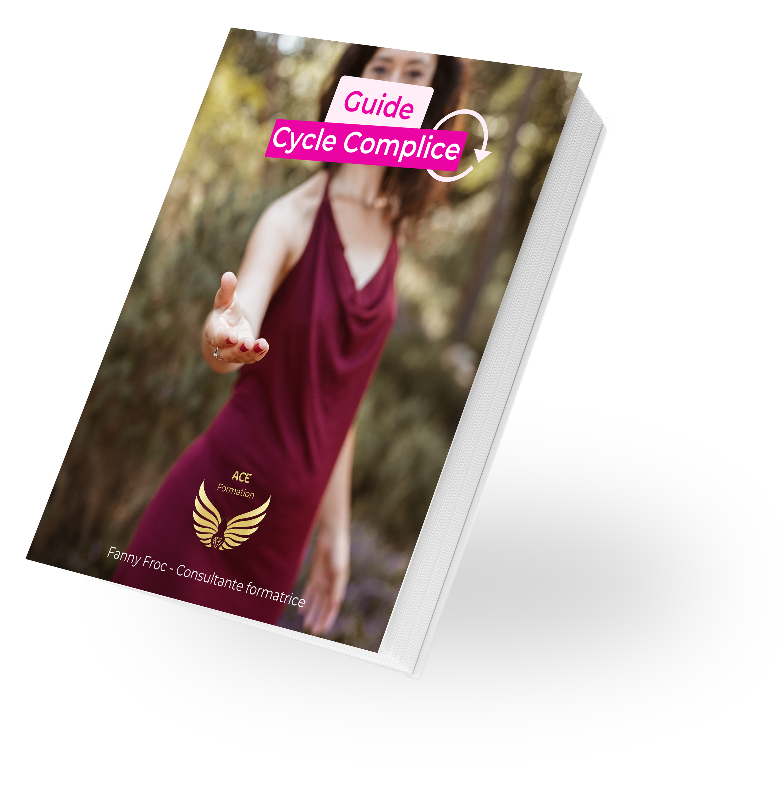 Guide : cycle complice