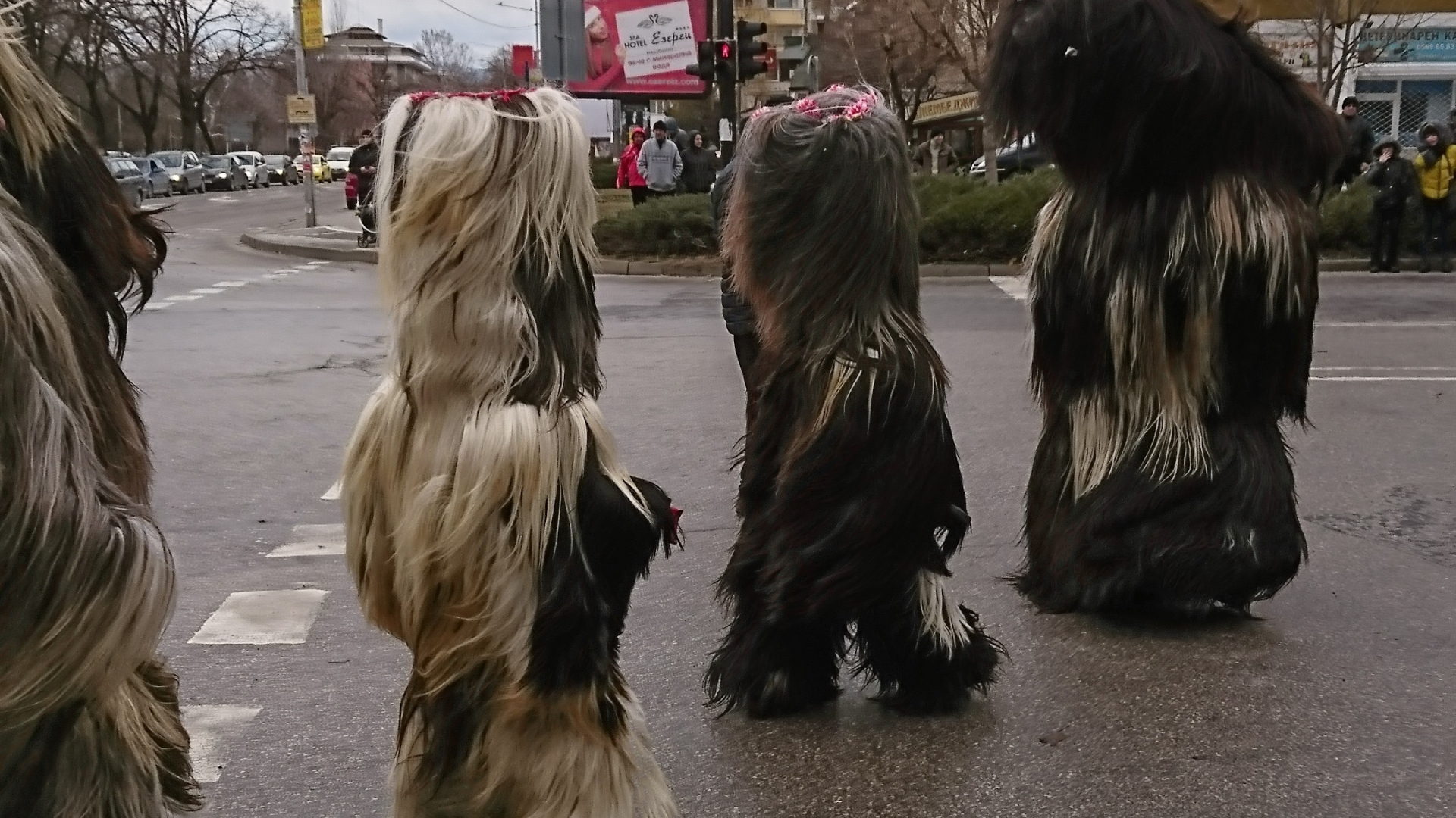 Bulgaria | Blagoevgrad Surva Festival