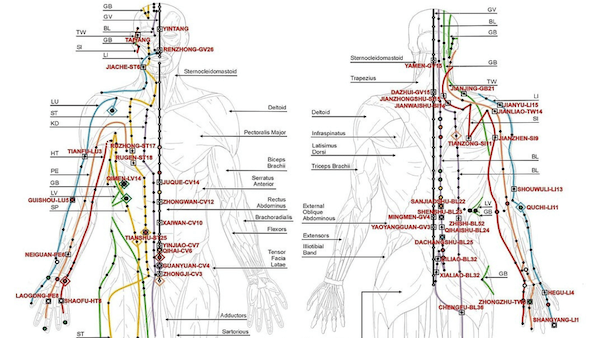 Infographic van de vier Vuur-meridianen in Do-In Yoga met hun functies voor balans en innerlijke kracht. KVDP, Public domain, via Wikimedia Commons. A schematic of the "chinese" or human body meridians. The chinese meridians are used in various oriental fight styles, as well as in healthcare; e.g. in tradititional herbal medicine, massage techniques, ... The schematic was based on an image of the Northern Crane Martial Arts Association dojo. Permission was given for the use of the image at wikimedia commons by sensei Phil Perez.