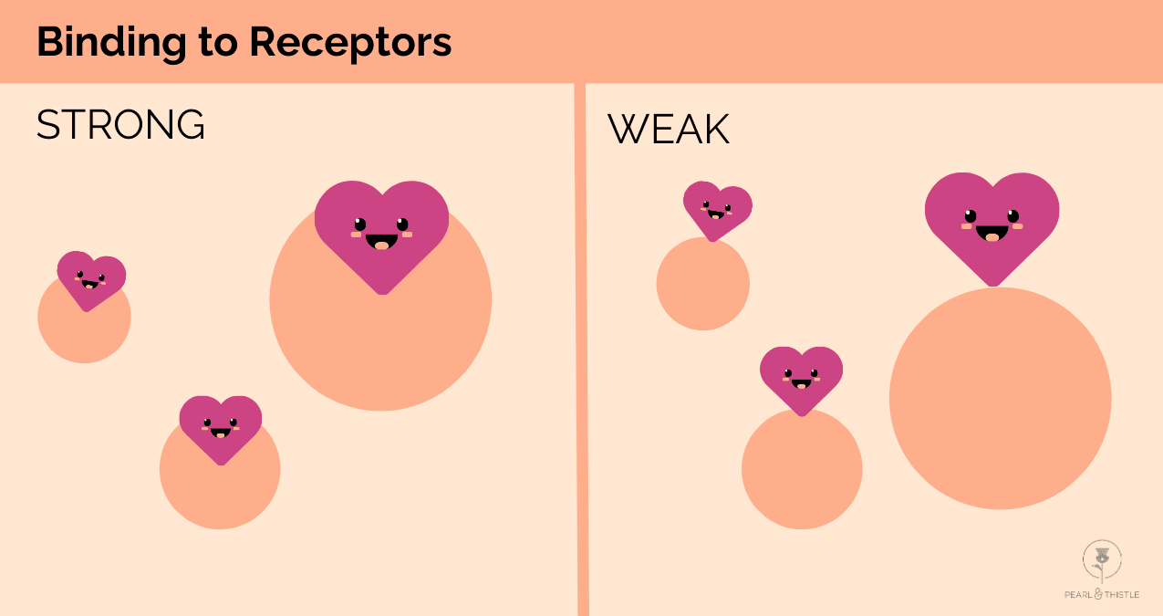 image showing weak and strong binding to receptors
