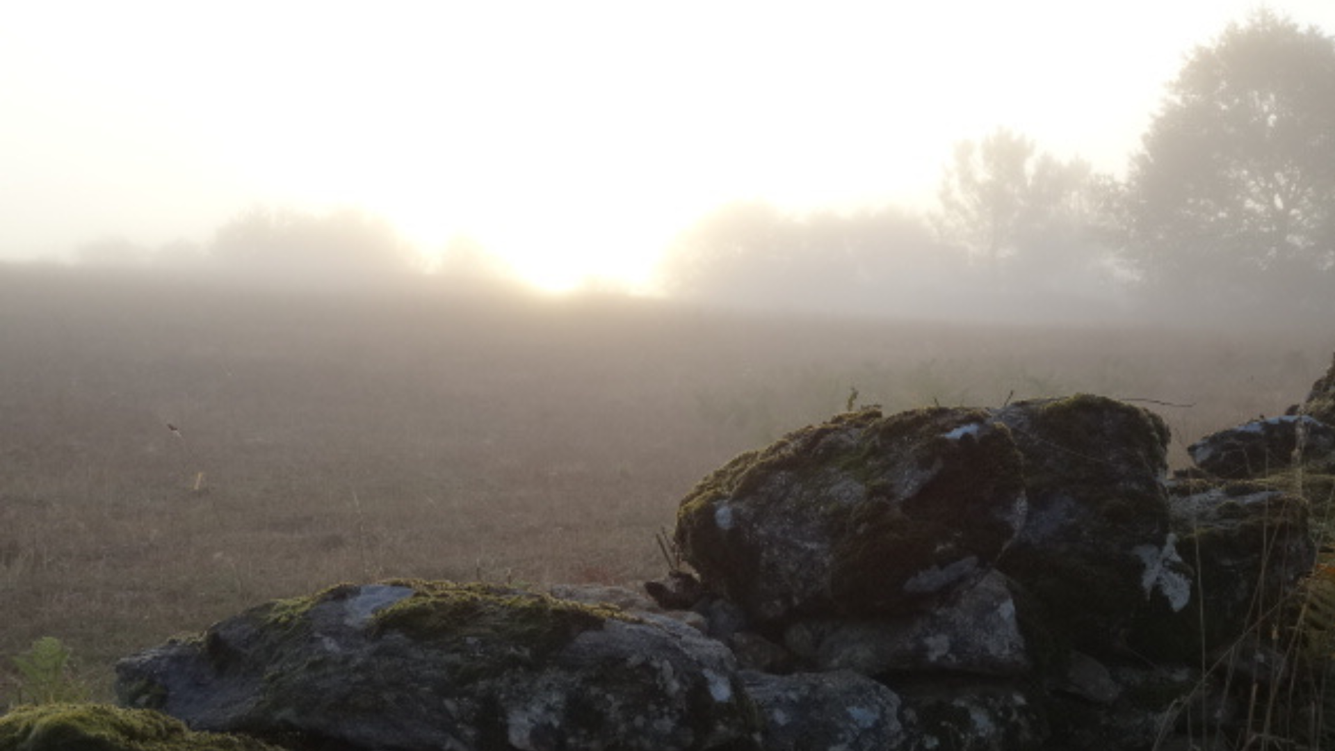 Counting My Blessings - Counting My Blessings - 09 Misty morning Morgade Galicia