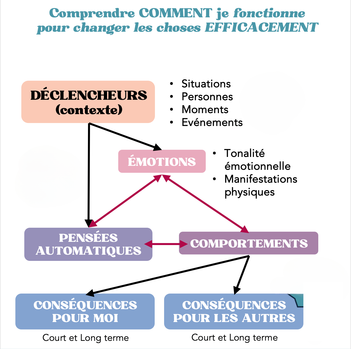 Grille d'analyse fonctionnelle SECCA