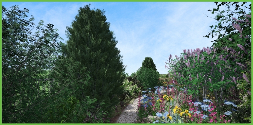 Een ontwerp van een slim waterretentiesysteem voor een olijfboomgaard en hazelnootboomgaard in Spanje ontworpen door Martine Verweij van Plantenliefde