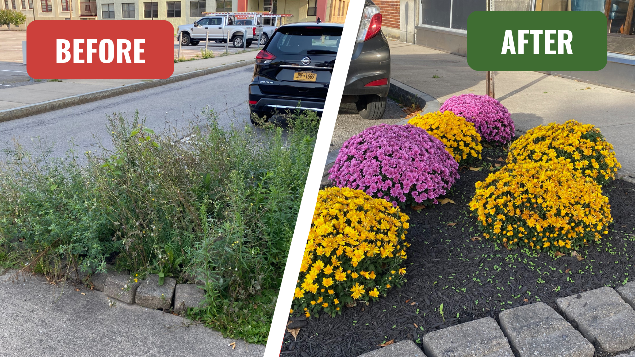 Flowers Outside SPOT Coffee